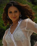 Kim Sharma